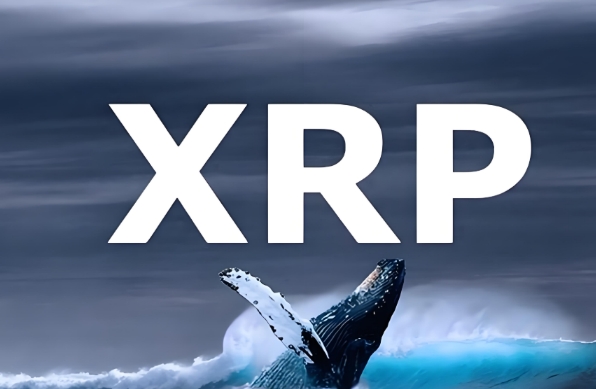 XRP ETF获批分析：可能性与前景