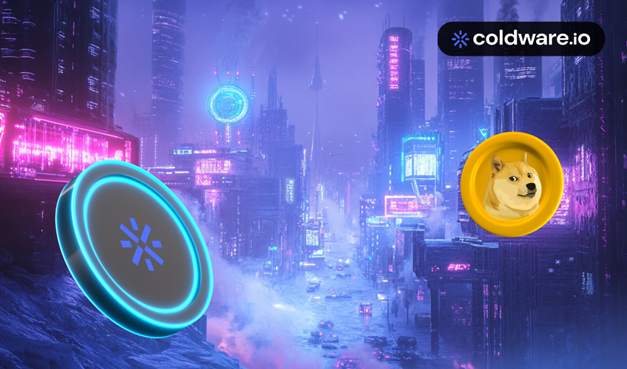 Dogecoin投资者警惕：2025年5月面临危机