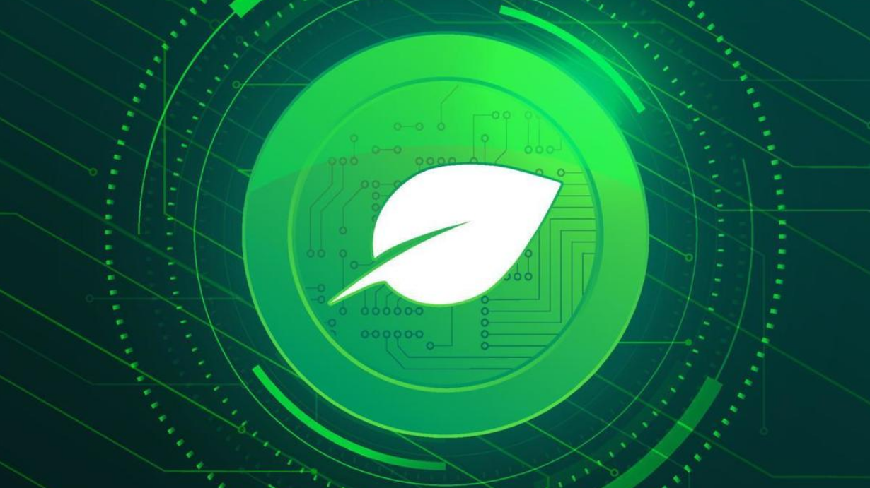 奇亚币详解：环保耕种机制与投资指南