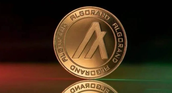 ALGO币：长期持有潜力与风险分析
