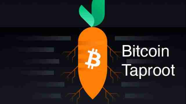 Taproot地址：提升比特币隐私与智能合约