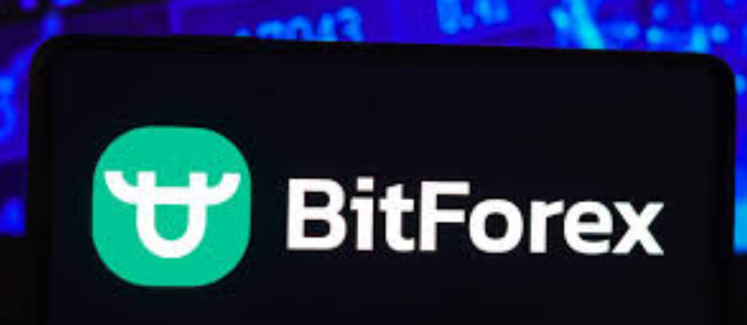 BitForex登录指南：最新官方入口详解