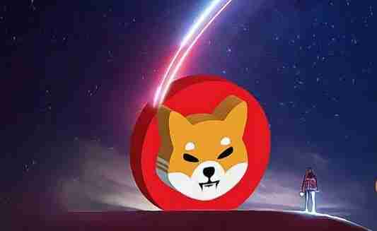 SHIB币：长期持有价值分析及前景展望