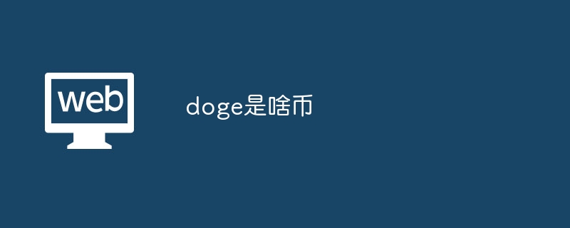 Doge币详解：从趣味起源到实用支付