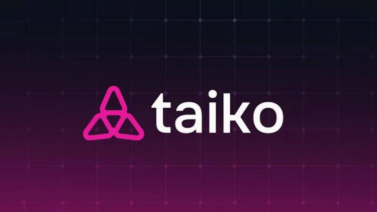 TAIKO币购买攻略：盘点上线交易所