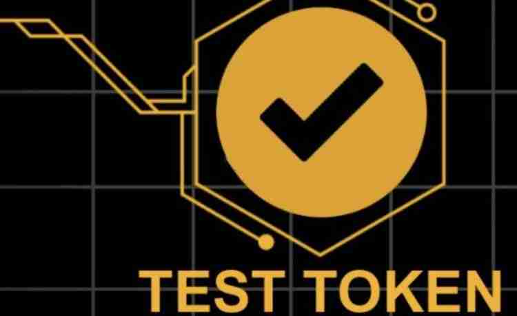 TST币值不值得投？揭秘模因币潜力与风险