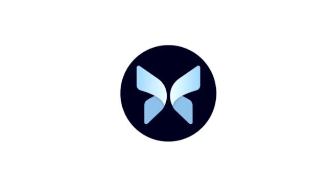 MORPHO币：借贷协议新星，投资潜力巨大