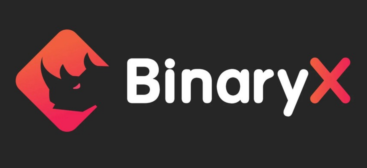 BNX币行情分析：上涨潜力与风险