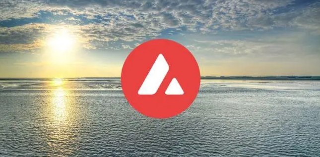 AVAX创始人团队：精英汇聚打造区块链