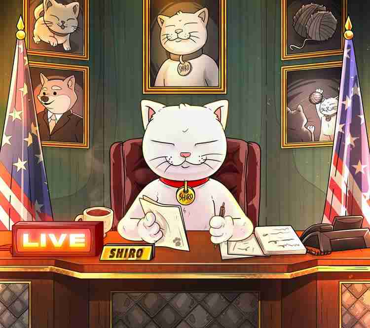 SHIRO迷因币：猫猫主题崛起