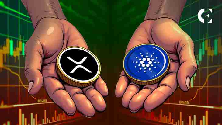 XRP看跌信号显现，长期趋势警示