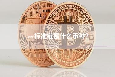 CZR标准链：国产公链的野心与现实