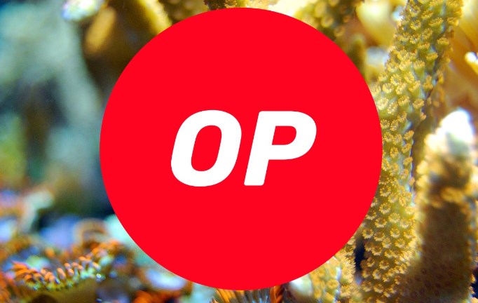 OP币未来前景：潜力与挑战并存
