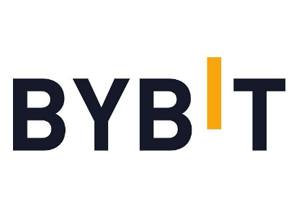 Bybit跟单交易风险及管理策略