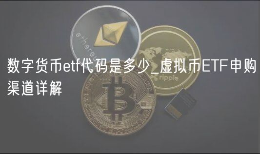 数字货币ETF代码查询与申购攻略