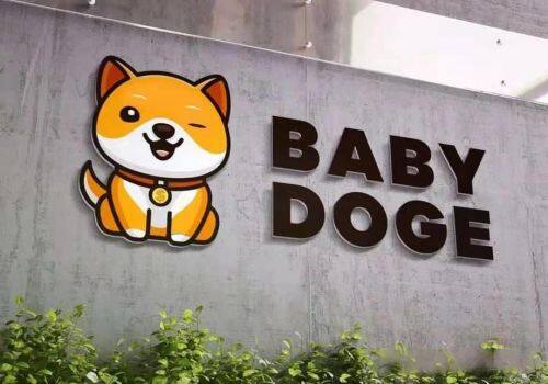 BABYDOGE币种：萌系加密货币新星
