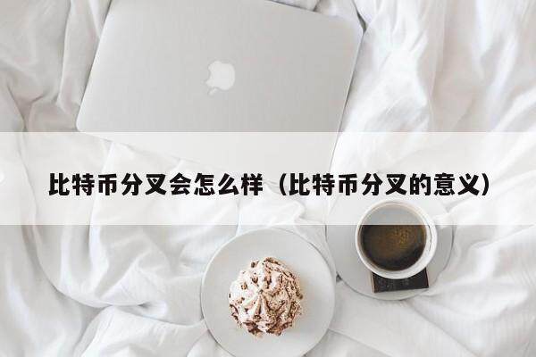 比特币分叉详解：影响与处理