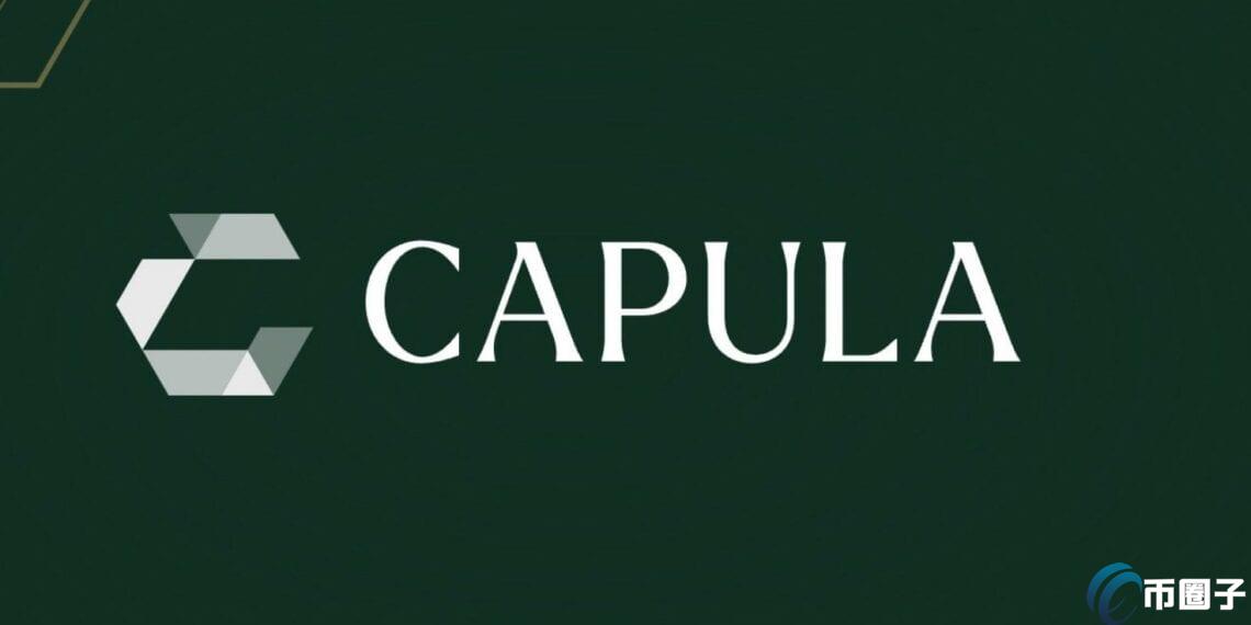欧洲避险基金巨头Capula持有4.64亿美元比特币ETF