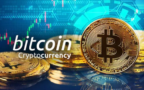 拳头币行情：最新价格与交易策略