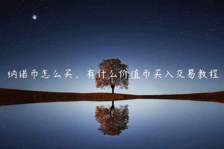 纳米币购买指南：价值与交易详解