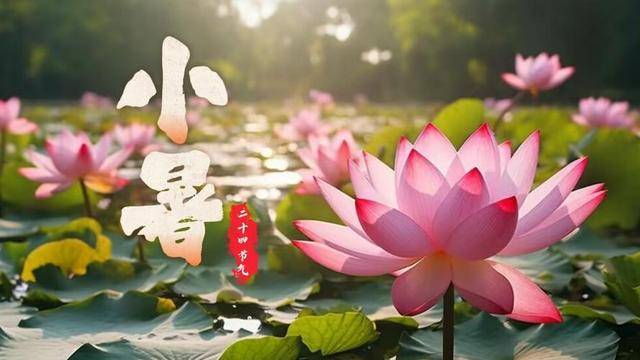 明日小暑，有钱没钱都要吃这“水中6宝”，清热祛湿健脾轻松过夏