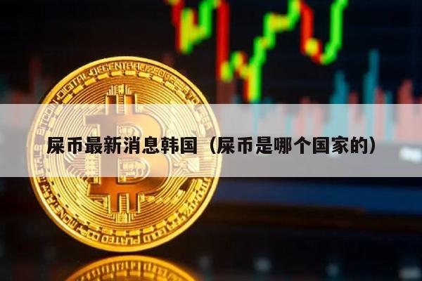 屎币韩国最新动态及国家来源揭秘