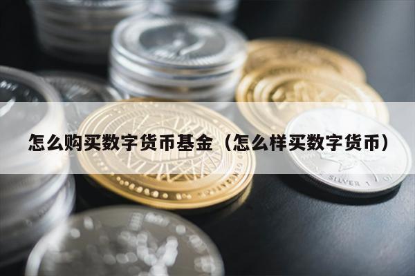 数字货币基金购买指南：嘉实安心A与嘉实货币A的区别