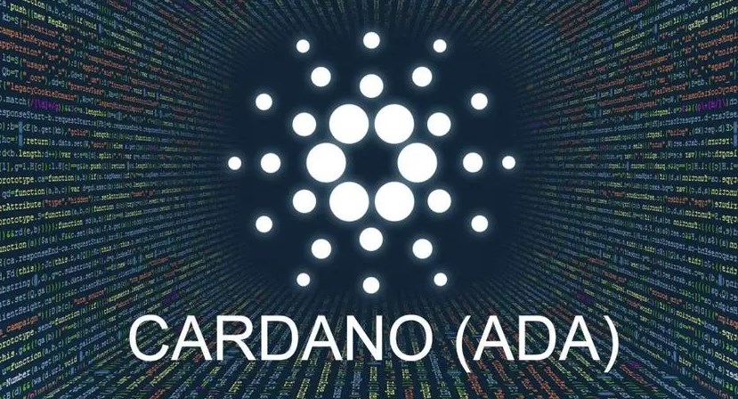艾达币（ADA）投资指南：价值与风险分析