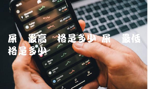 屎币价格大揭秘：暴涨暴跌与未来展望