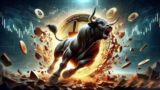 比特币市占率三年新高，马斯克喊单DOGE暴涨15%