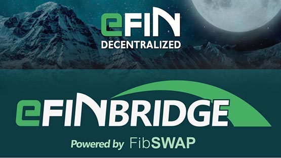 EFIN币发行量大揭秘：总量、特点全解析