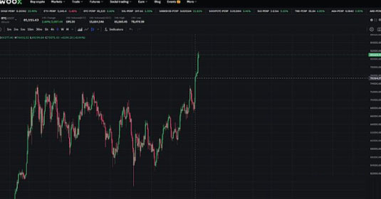 BTC狂牛预测：目标11万至22万美元