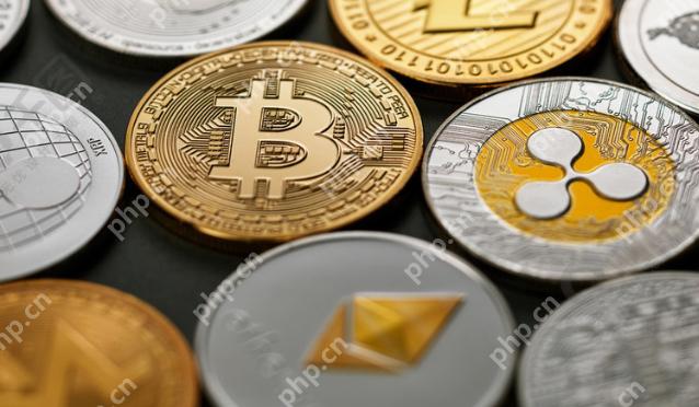 2025全球十大虚拟货币交易所app排行