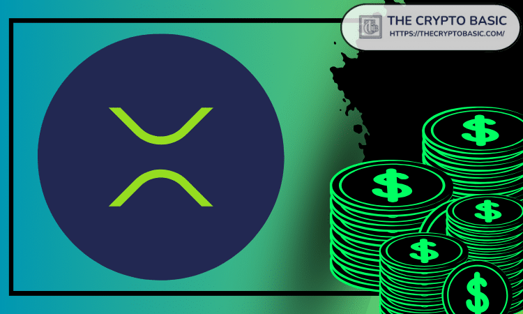 XRP十年暴涨？警告：今天不买，明天后悔！