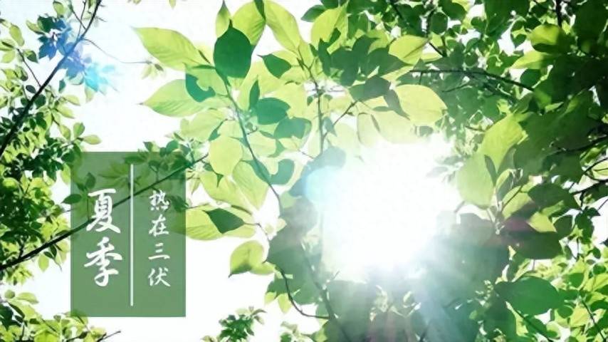 “入伏吃3宝，苦夏没烦扰”明日入伏，3宝指啥？精神饱满过三伏天