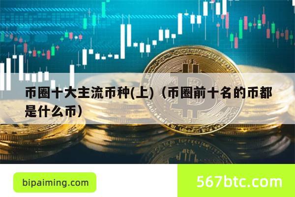 币圈十大主流币种详解