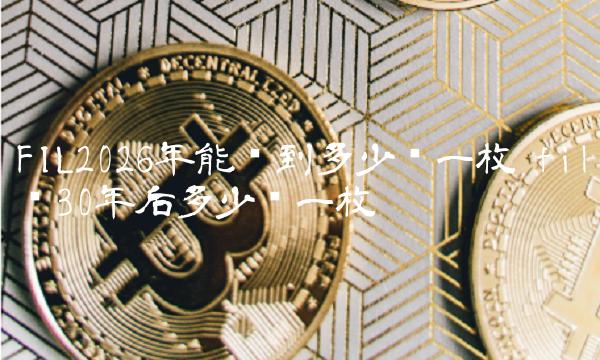 FIL2026年或达300美元：投资需谨慎