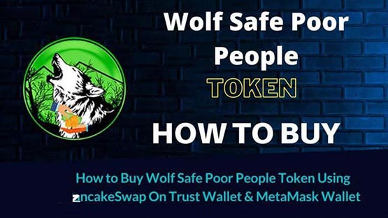 WSPP币深度解析：慈善币的投资价值？