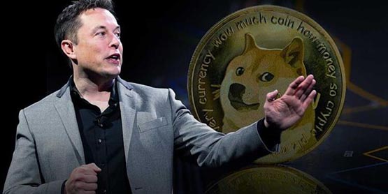 狗狗币诉讼反转！马斯克怒怼投资者“想钱想疯了”