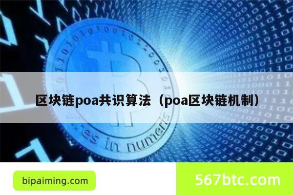 PoA共识算法详解：结合PoW与PoS优势