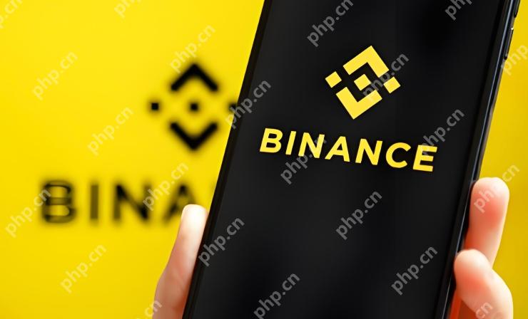 币安App下载：最新版v2.99.4官方指南