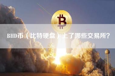 BHD币交易平台：深度解析与投资风险