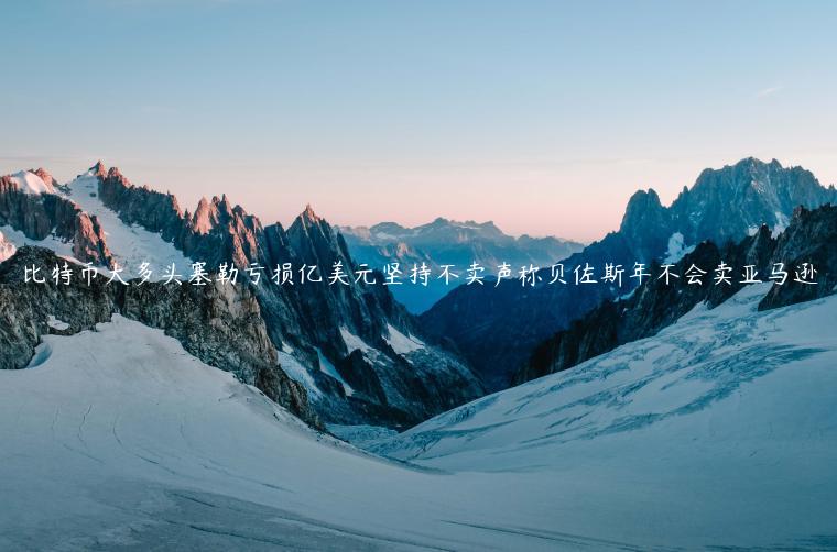 比特币大多头塞勒亏亿仍不卖：坚信长期投资