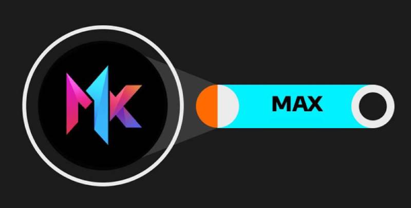MAX币开盘价揭秘：未来潜力分析