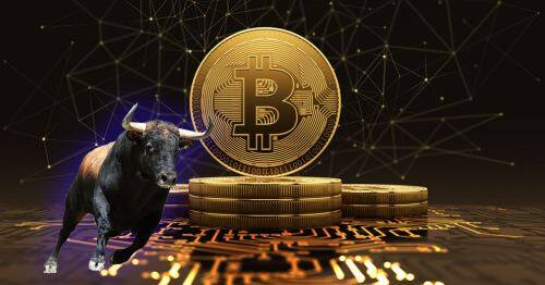 极特币DGB币：未来价格预测与风险分析