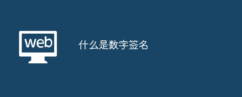 数字签名：确保信息安全的加密技术