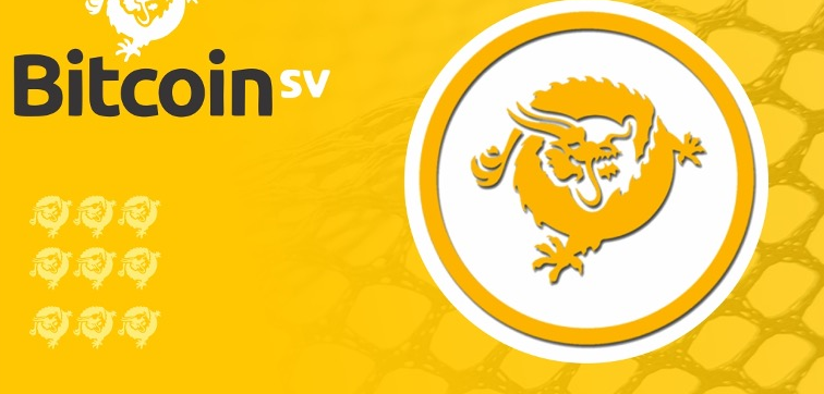 BSV vs ZEC：扩展性与隐私的较量