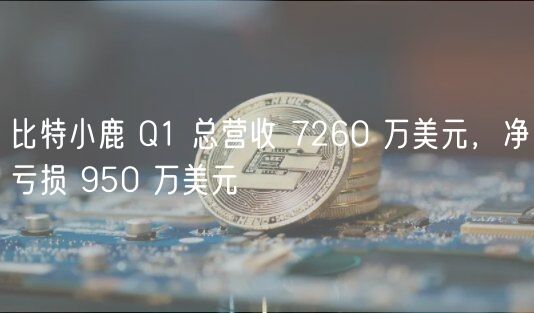 比特小鹿Q1财报：营收降，亏损扩大