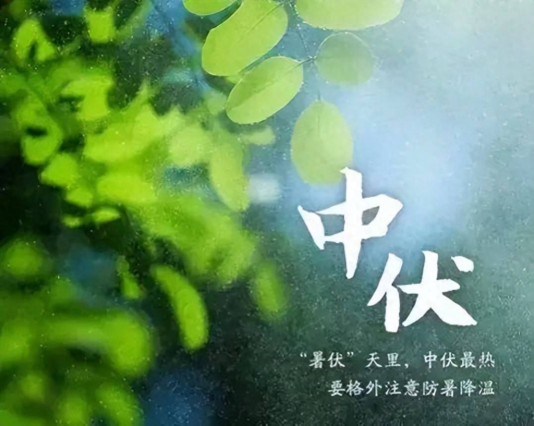 今日中伏“中伏吃3宝，少往医院跑”，3宝是指啥？别忘了给家人吃