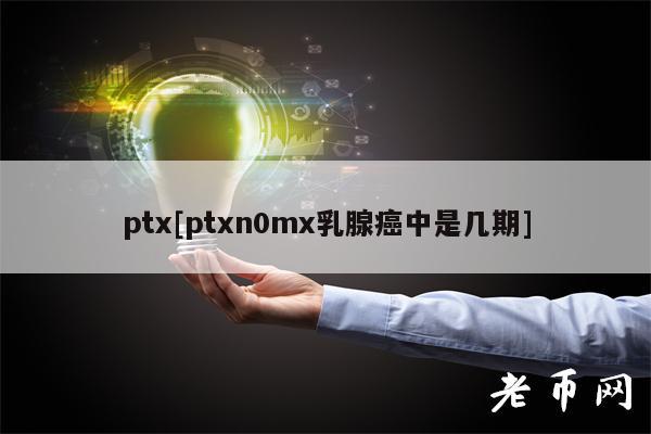 PTX多领域含义：从音乐到技术